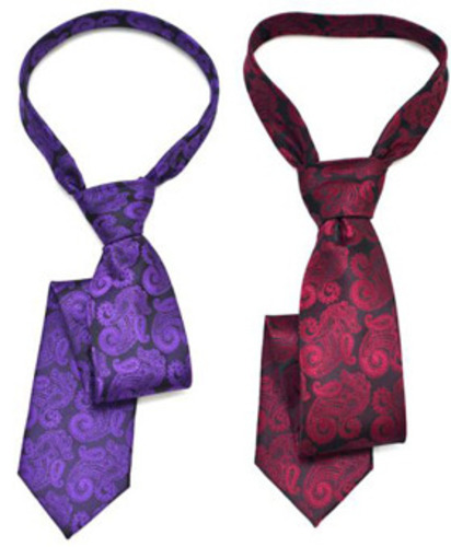 Elegant Paisley Tie 46